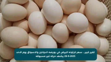 تغير كبير.. سعر كرتونة البيض في بورصة الدواجن والأسواق يوم الأحد 28-9-2025 يشهد حركة غير مسبوقة